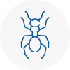 Ant Removals In Newark