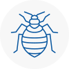 Bed Bug Extermination In Newark