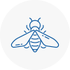 Bee Nest Removal Newark