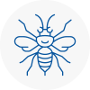 Newark Hornet Nest Removals