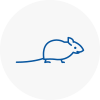 Mice Exterminators In Newark