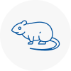 Rat Control Newark