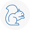 Newark Rodent Removals