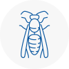Newark Wasp Nest Removal